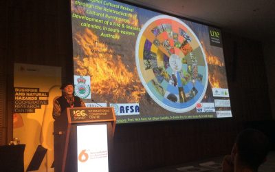 The 6th International Fire Behaviour and Fuels Conference