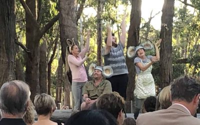 Koala Life launch at Cleland Wildlife Park